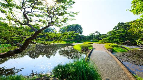 都内 公園 大きい - 都会の緑のオアシスとその可能性